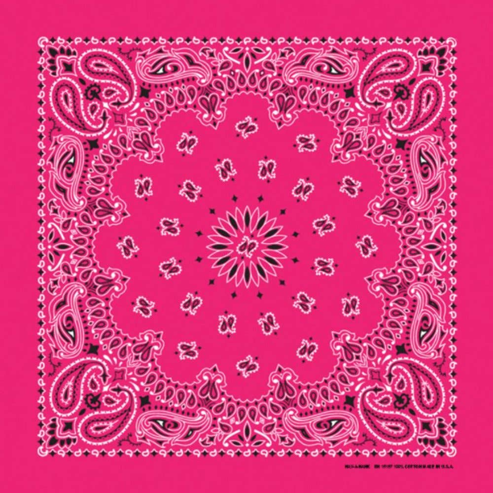 Made in the USA - Hot Pink Paisley Bandana
