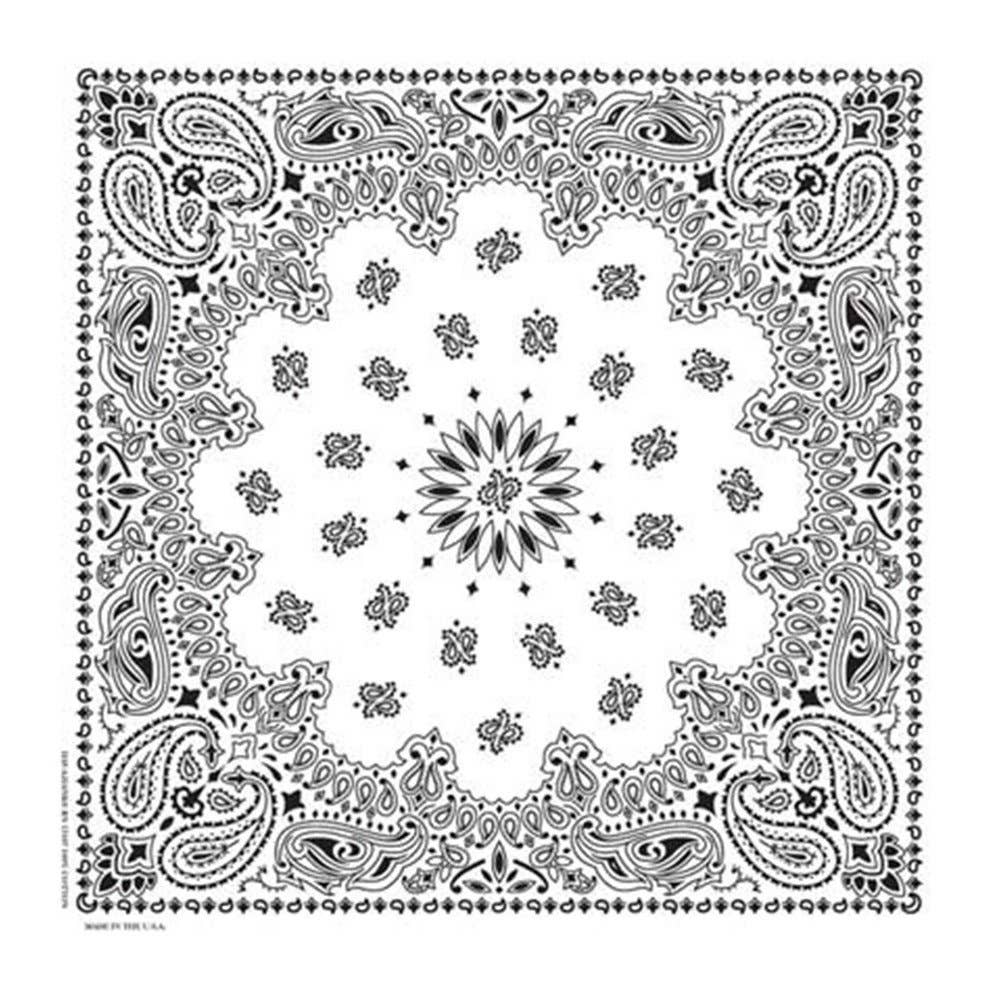 Made in the USA - White Paisley Bandana