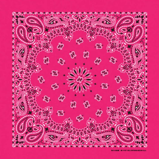 Made in the USA - Hot Pink Paisley Bandana