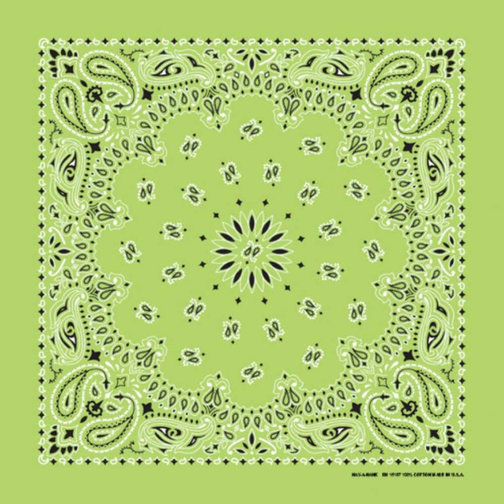 Made in the USA - Lime Paisley Bandana