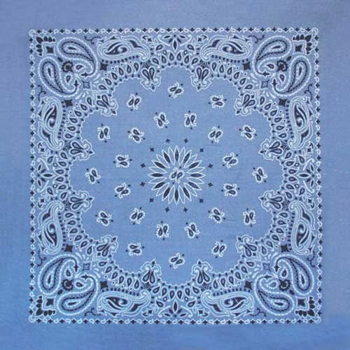 Made in the USA - Chambray Paisley Bandana